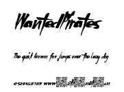 WantedPirates.ttf字體轉換器圖片