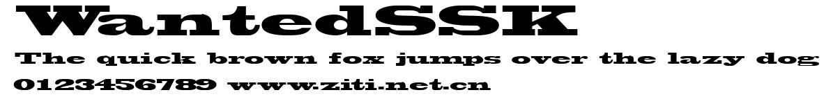 WantedSSK.ttf字體轉換器圖片