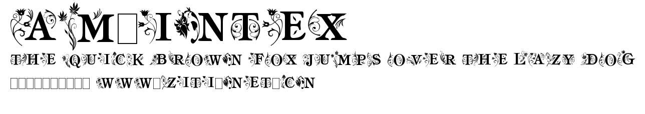 am_intex.ttf字體轉換器圖片
