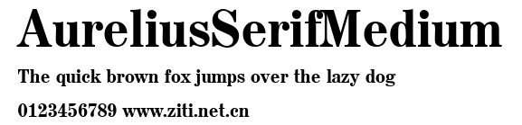AureliusSerifMedium.ttf字體轉換器圖片