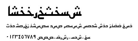 ArabicSans.ttf