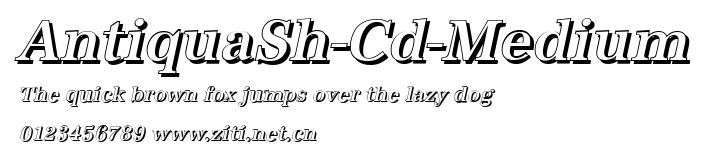 AntiquaSh-Cd-Medium.ttf
