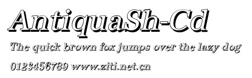 AntiquaSh-Cd.ttf