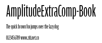 AmplitudeExtraComp-Book.ttf