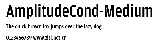 AmplitudeCond-Medium.ttf