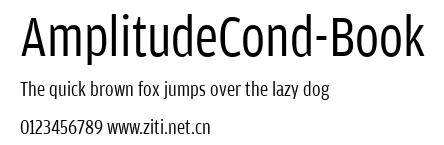 AmplitudeCond-Book.ttf