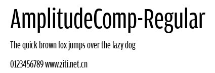 AmplitudeComp-Regular.ttf