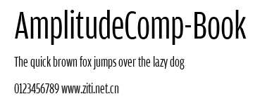 AmplitudeComp-Book.ttf