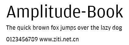Amplitude-Book.ttf