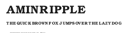 Amin_Ripple.ttf