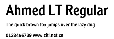 Ahmed LT Regular.ttf字體轉換器圖片