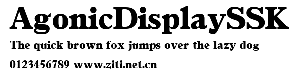 AgonicDisplaySSK.ttf字體轉換器圖片