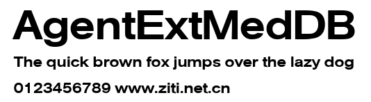 AgentExtMedDB.ttf
