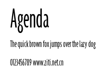 Agenda.ttf