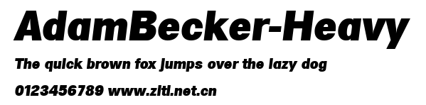 AdamBecker-Heavy.ttf