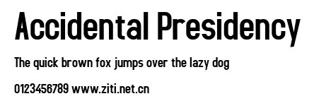 Accidental Presidency.ttf