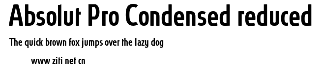 Absolut Pro Condensed reduced.otf