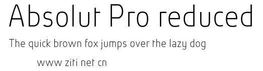 Absolut Pro reduced.otf