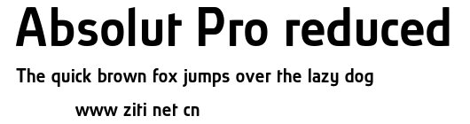 Absolut Pro reduced.otf