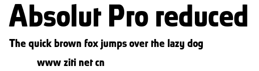 Absolut Pro reduced.otf