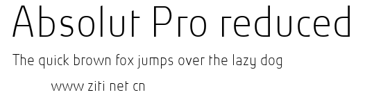 Absolut Pro reduced.ttf