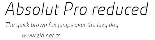 Absolut Pro reduced.ttf