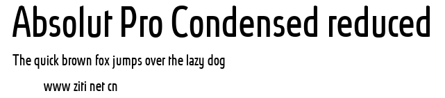Absolut Pro Condensed reduced.ttf字體轉換器圖片