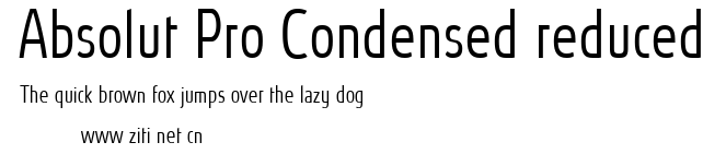 Absolut Pro Condensed reduced.ttf字體轉換器圖片