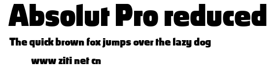 Absolut Pro reduced.ttf