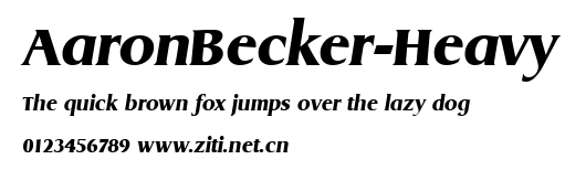AaronBecker-Heavy.ttf字體轉換器圖片
