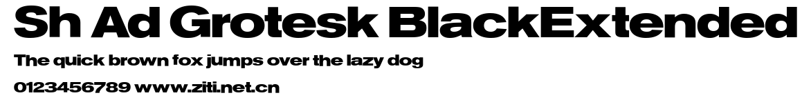 Sh Ad Grotesk BlackExtended.ttf