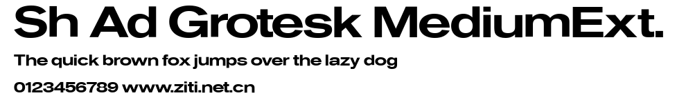 Sh Ad Grotesk MediumExt..ttf字體轉換器圖片