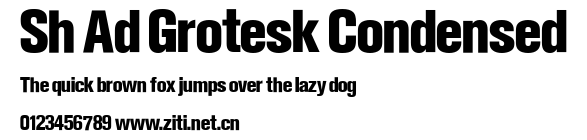 Sh Ad Grotesk Condensed.ttf