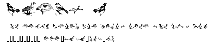 birds a.ttf