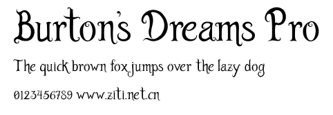Burton's Dreams Pro.ttf