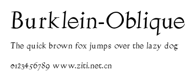Burklein-Oblique.ttf字體轉換器圖片