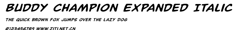Buddy Champion Expanded Italic.ttf