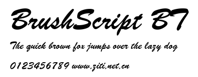 BrushScript BT.ttf