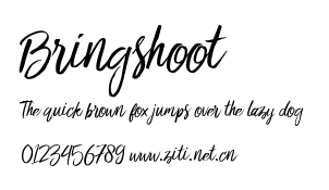 Bringshoot.ttf