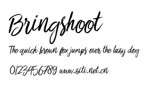 Bringshoot.otf