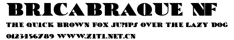 BricaBraque NF.ttf