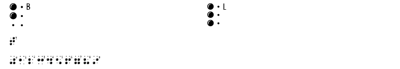 BrailleLatin.ttf字體轉換器圖片