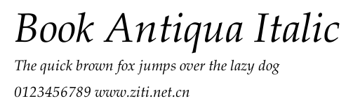Book Antiqua Italic.ttf