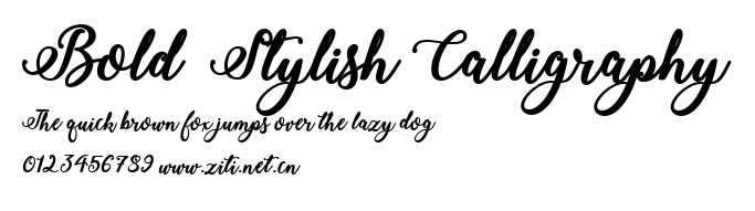 Bold  Stylish Calligraphy.ttf