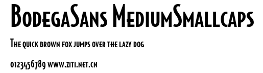 BodegaSans MediumSmallcaps.ttf字體轉換器圖片