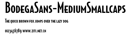 BodegaSans-MediumSmallcaps.ttf