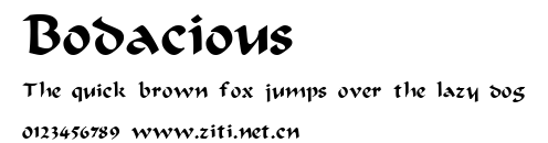 Bodacious.ttf