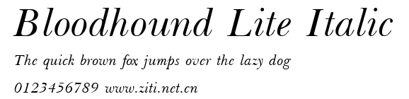 Bloodhound Lite Italic.ttf字體轉換器圖片