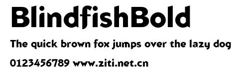 BlindfishBold.ttf