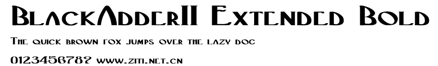 BlackAdderII Extended Bold.ttf